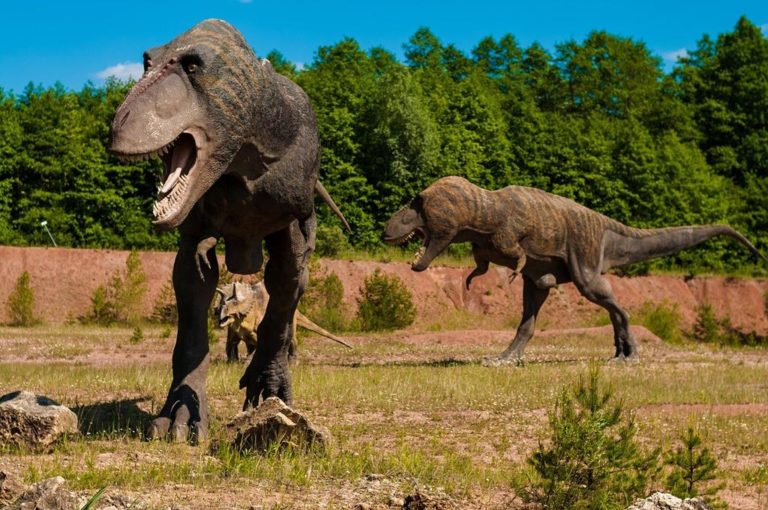 Bogactwo atrakcji jakie czeka na Ciebie w parku dinozaurów