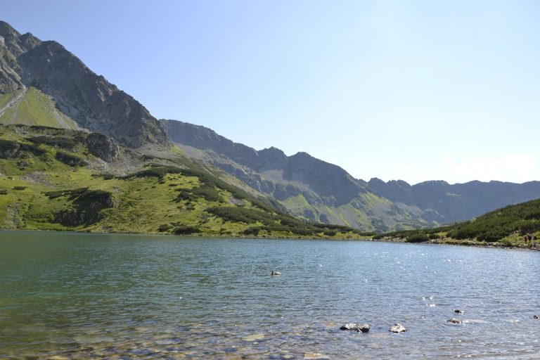 Zakopane - komfortowe noclegi w sercu polskich tatr - wybierz swój dom w górach